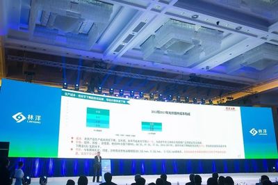 引領(lǐng)N型技術(shù)新浪潮，林洋能源發(fā)布高效N型單晶雙面組件